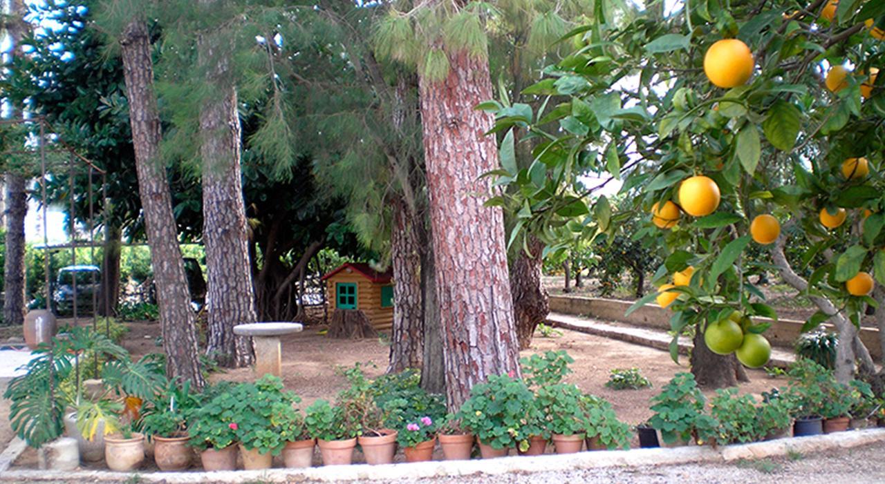 El Sequer Casa Rural オリーバ エクステリア 写真